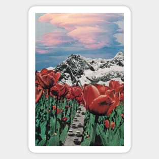 Tulip Road Sticker